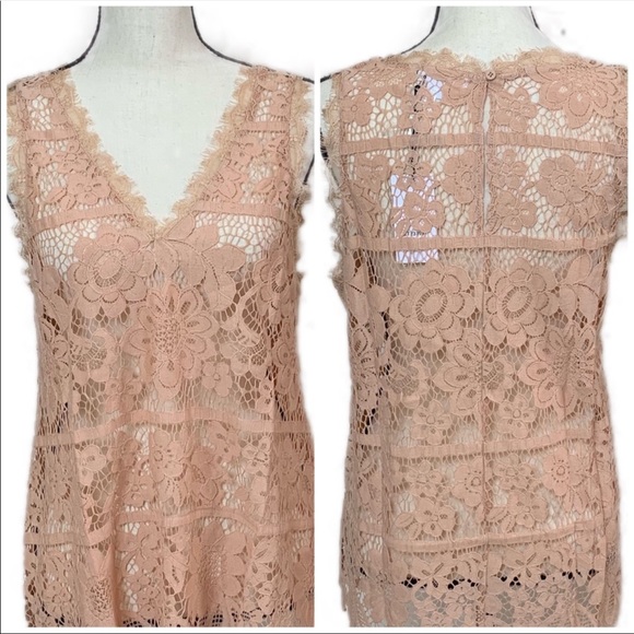 Blush Sleeveless Lace & Crochet Top - Picture 3 of 9